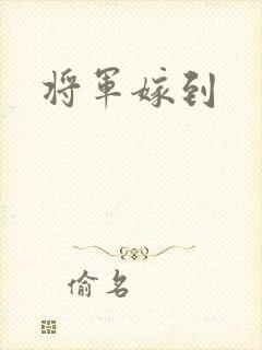 将军嫁到