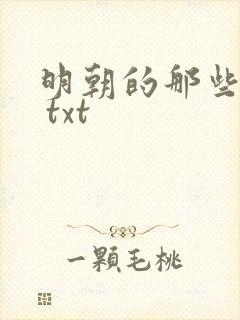 明朝的那些事儿 txt