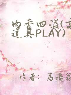 肉香四溢(高H道具PLAY)