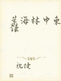 叶海林中东风云录