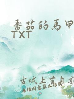 番茄的马甲小说TXT