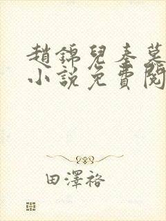 赵锦儿秦慕修的小说免费阅读全文