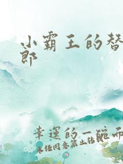 小霸王的替婚玉郎