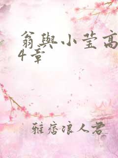 翁与小莹高潮24章