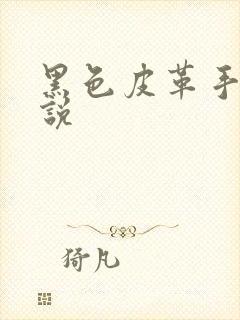 黑色皮革手册小说