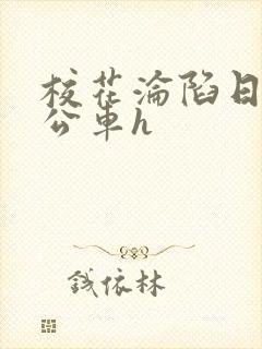 校花沦陷日记h公车h