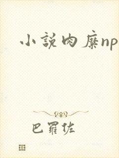 小说肉糜np