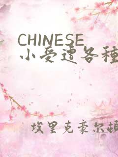 CHINESE小受遭各种打桩