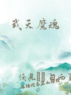 武天魔魂