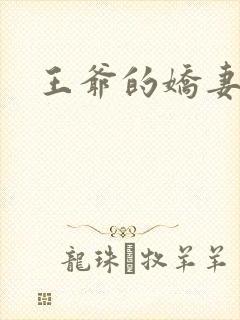 王爷的娇妻