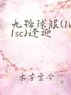 九号球服(1v1sc)逢迎