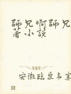 师兄啊师兄的原著小说