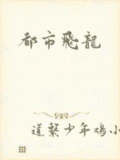 都市飞龙