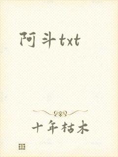 阿斗txt