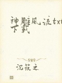 神雕风流txt下载