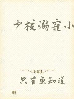 少校溺宠小小妻