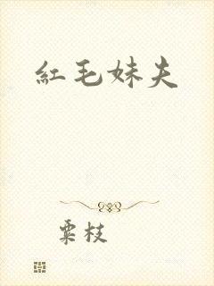 红毛妹夫