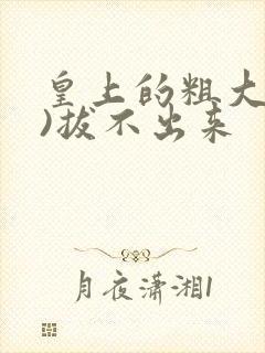 皇上的粗大(h)拔不出来