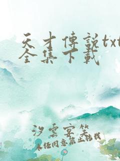 天才传说txt全集下载