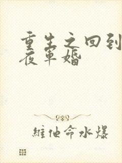 重生之回到新婚夜军婚