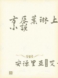 方辰叶琳上官步小说