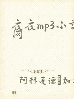 夜夜mp3小说网