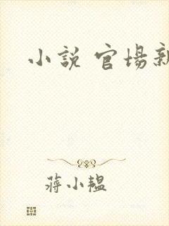 小说 官场新贵
