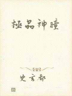 极品神瞳