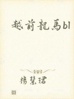 越前龙马bl