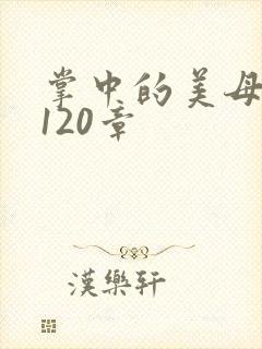 掌中的美母版主120章