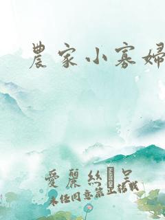 农家小寡妇
