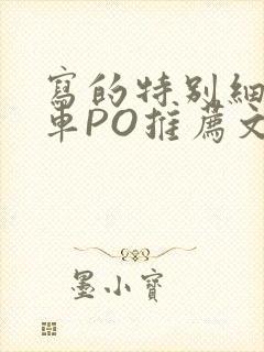 写的特别细的开车PO推荐文多人