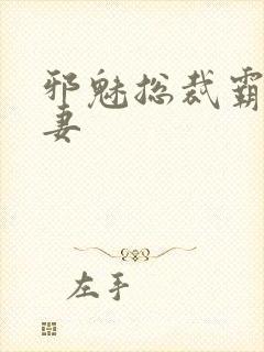 邪魅总裁霸占新妻