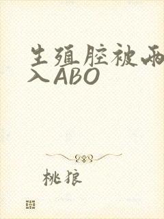 生殖腔被两根进入ABO