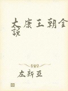 大康王朝金峰小说