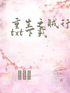 重生之贼行天下txt下载