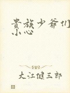 贵族少爷们 请小心