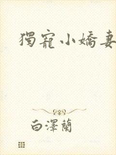 独宠小娇妻