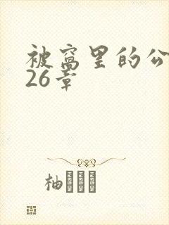 被窝里的公憩第26章