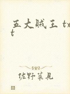 五大贼王 txt