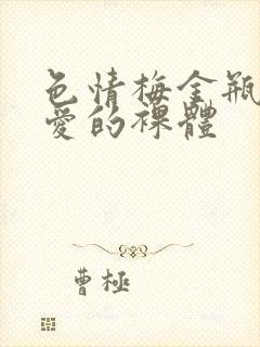 色情梅金瓶2之爱的裸体