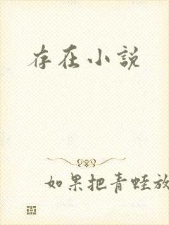 存在小说