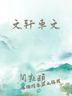 文轩车文