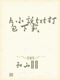 h小说txt打包下载