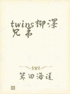 twins柳泽兄弟