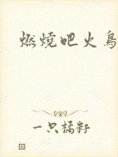 燃烧吧火鸟小说