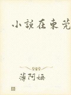 小说在东莞