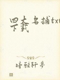 四大名捕txt下载