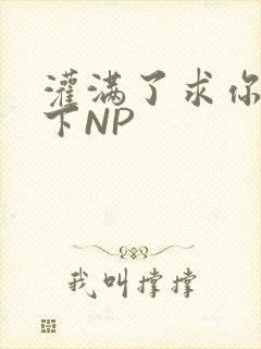 灌满了求你们停下NP