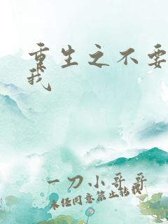 重生之不要爱上我